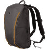Рюкзак Victorinox Altmont Active Everyday Laptop/Grey 602133