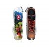 Ніж Victorinox Classic LE 2020 "I Love Hiking" 0.6223.L2002