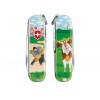 Ніж Victorinox Classic LE 2020 "Swiss Wrestling" 0.6223.L2009