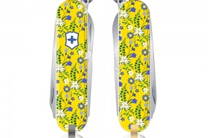 Classic Limited Edition 2021 - що обрати?