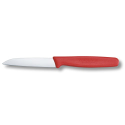 Кухонний ніж Victorinox Standard Paring Knife 5.0401