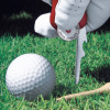 Ніж Victorinox Golftool 0.7052.T