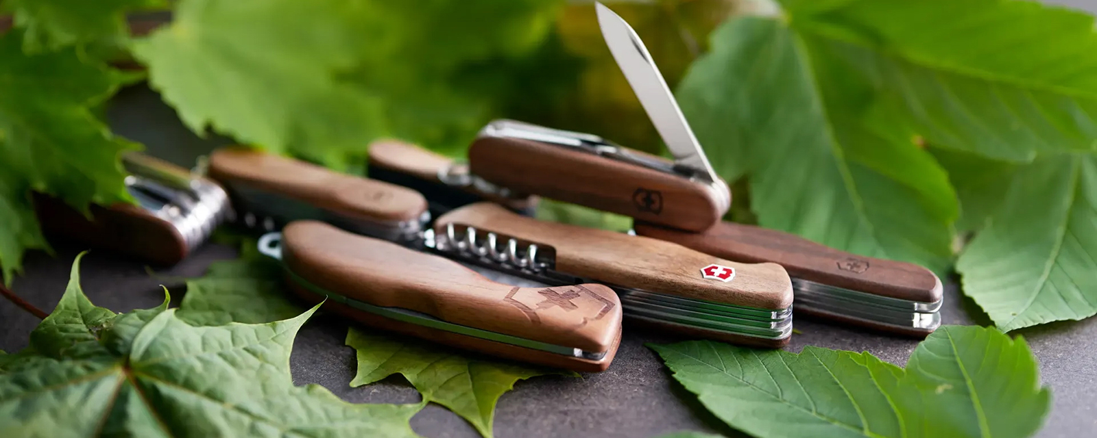 Wood Knives