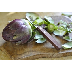 Картоплечистка Victorinox Potato Peeler Single Edge 5.0109 з одним лезом