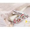 Ніж Victorinox Сlassic Edelweiss 0.6203.840