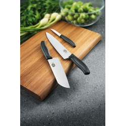Кухонный нож Victorinox Swiss Classic Carving Knife 6.8003.19B в блистере