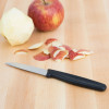 Кухонний ніж Victorinox Standard Paring Knife 5.0403