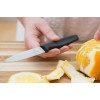 Кухонний ніж Victorinox Standard Paring Knife 5.0703