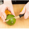 Кухонный нож Victorinox Standard Paring Knife 5.0603  8 см черный