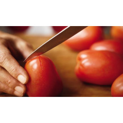 Кухонный нож Victorinox Standard Paring Knife 5.0702 10 см синий