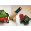 Набор из 5 предметов Victorinox Standard Small Cutlery Block 5.1183.51 