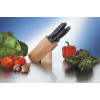 Набор из 5 предметов Victorinox Standard Small Cutlery Block 5.1183.51 