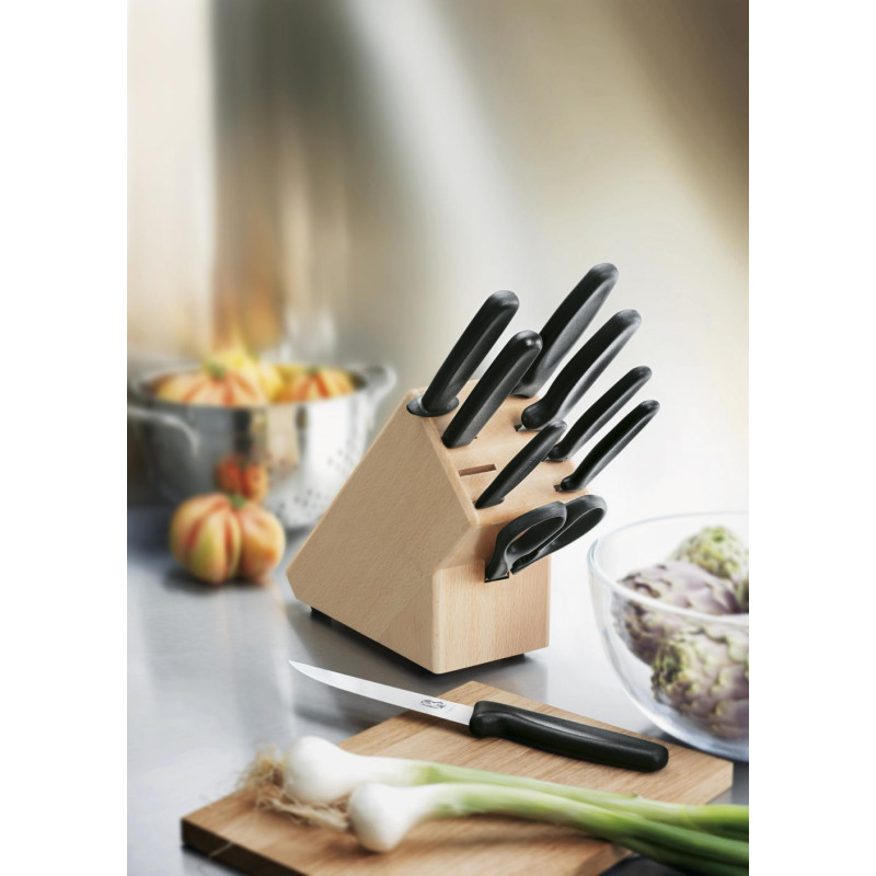 Набор из 9 предметов Victorinox Standard Cutlery Block 5.1193.9 
