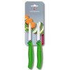 Набор из 2 ножей Victorinox Swiss Classic Paring Knife Set 6.7606.L114B