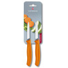 Набор из 2 ножей Victorinox Swiss Classic Paring Knife Set 6.7606.L119B