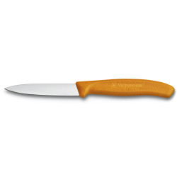 Кухонний ніж Victorinox Swiss Classic Paring Knife 6.7606.L119