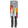 Набор из 2 ножей Victorinox Swiss Classic Paring Knife Set 6.7793.B
