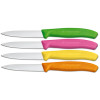 Кухонний ніж Victorinox Swiss Classic Paring Knife 6.7606.L119