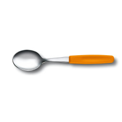 Чайна ложка Victorinox Swiss Classic Tea Spoon 5.1576.L9