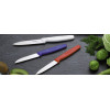 Кухонный нож Victorinox Standard Paring Knife 5.0601  8 см красный