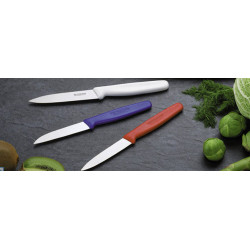 Кухонный нож Victorinox Standard Paring Knife 5.0601  8 см красный