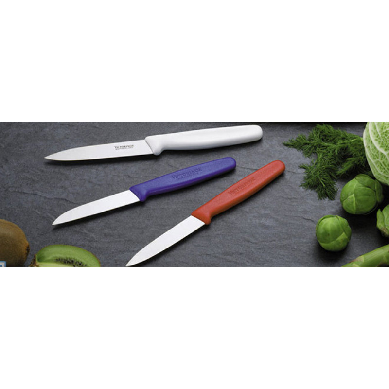 Кухонный нож Victorinox Standard Paring Knife 5.0601  8 см красный