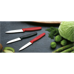 Кухонный нож Victorinox Standard Paring Knife 5.0701 10 см красный