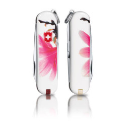 Ніж Victorinox Classic LE 2012 "Magnolia" 0.6223.L1203